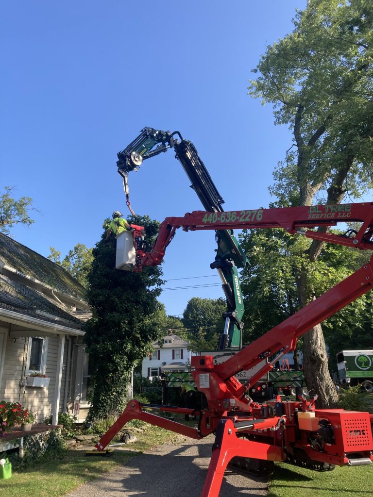 Spider crane lifting a cut tree section over a house during a removal