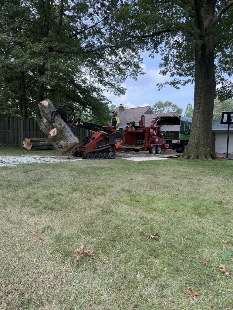 Tree removal equipment and cut logs on a residential lawn