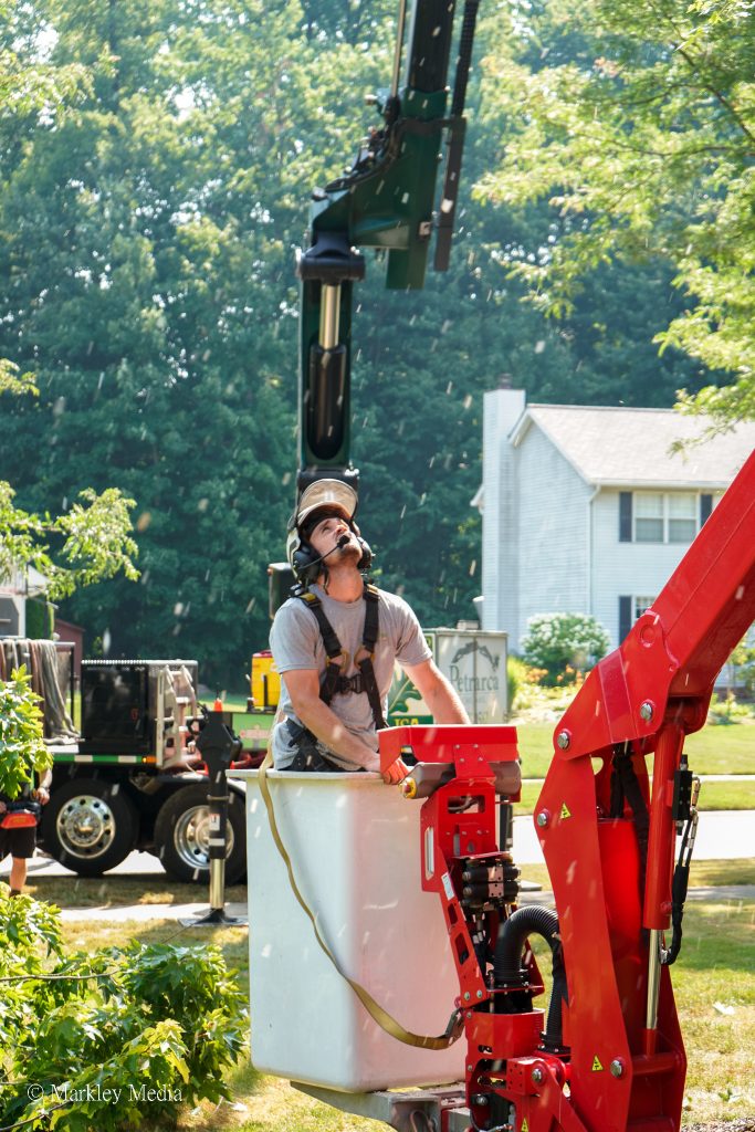 Tree crew member in a helmet operating the crane during a tree removal