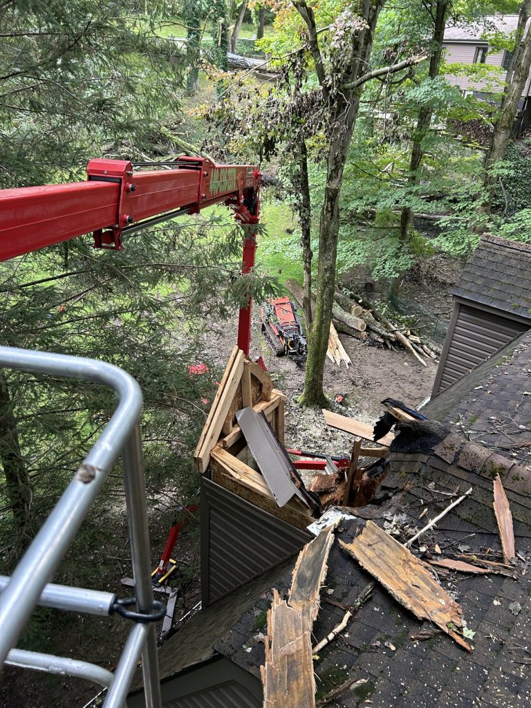 Storm-damaged structure being cleared of a fallen tree