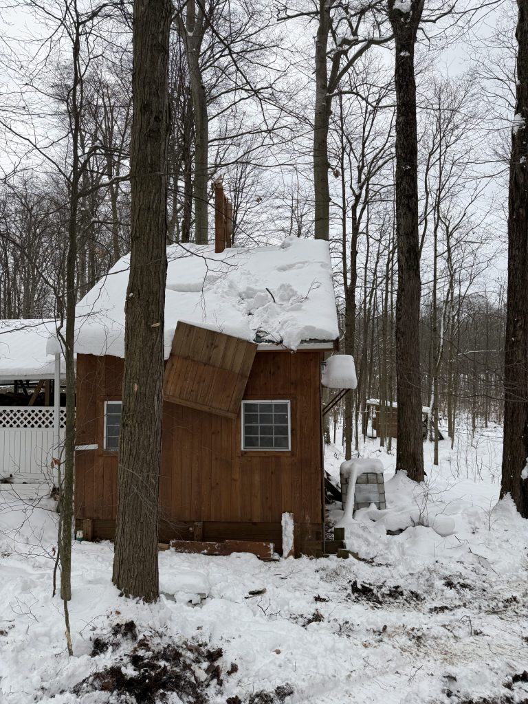Snow-covered shed damaged by a fallen tree