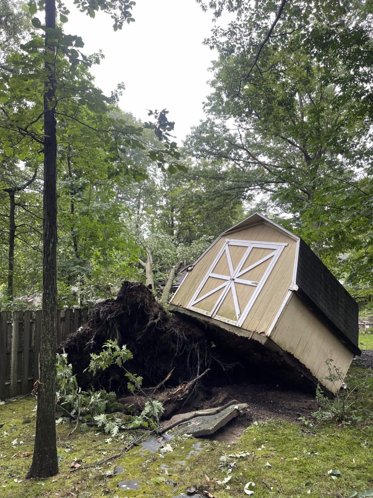 Shed overturned by an uprooted tree during a storm