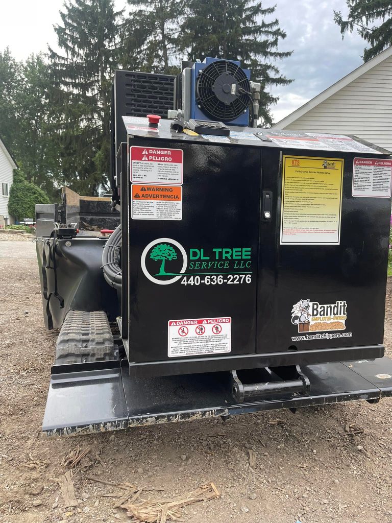 DL Tree Service stump grinder and chipper truck on a driveway