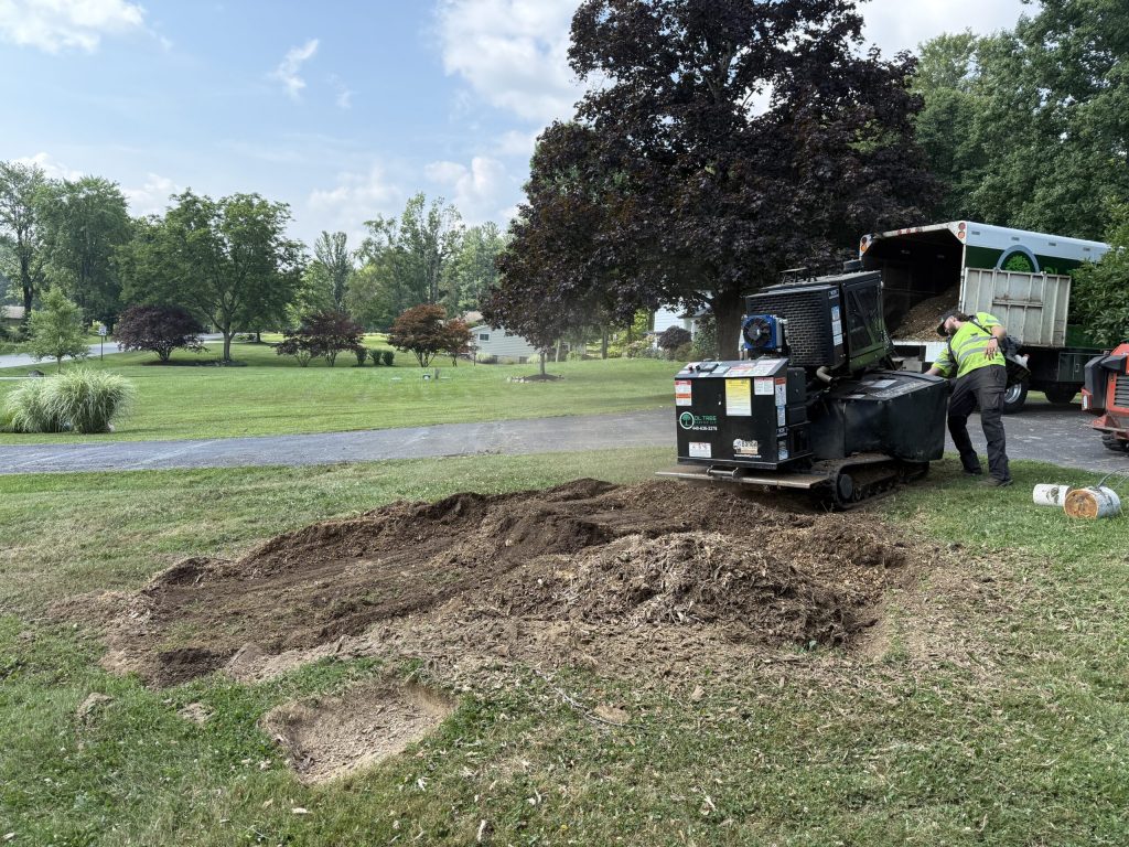 Soil and stump grindings mounded on a lawn after stump removal