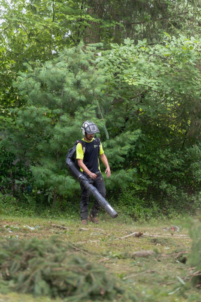 DL Tree Service crew member using a backpack blower to clean up a work site