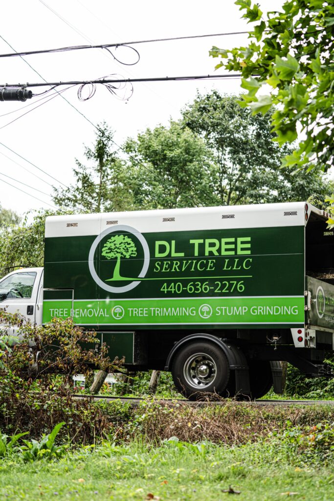 DL Tree Service green chip truck signed for tree removal, trimming, and stump grinding