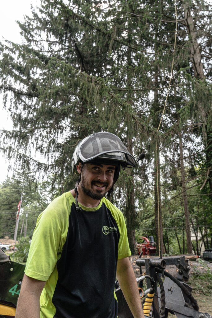 DL Tree Service crew member in a climbing helmet and hi-vis on a job site