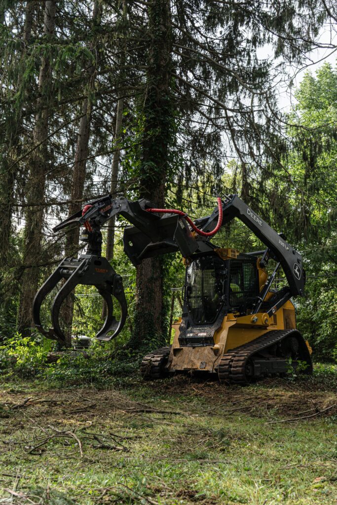 Tracked compact loader with a grapple attachment working among tall evergreens