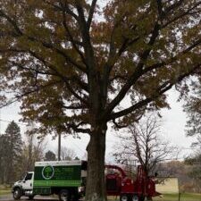 498A7C8A-3611-483A-9603-523A46A4A03A