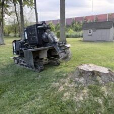 Stump Grinding